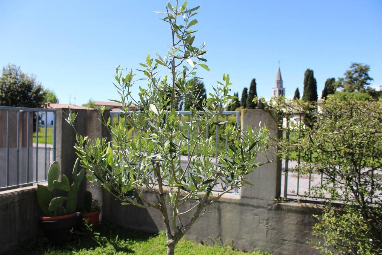 Villa Madi San Lorenzo  Екстер'єр фото